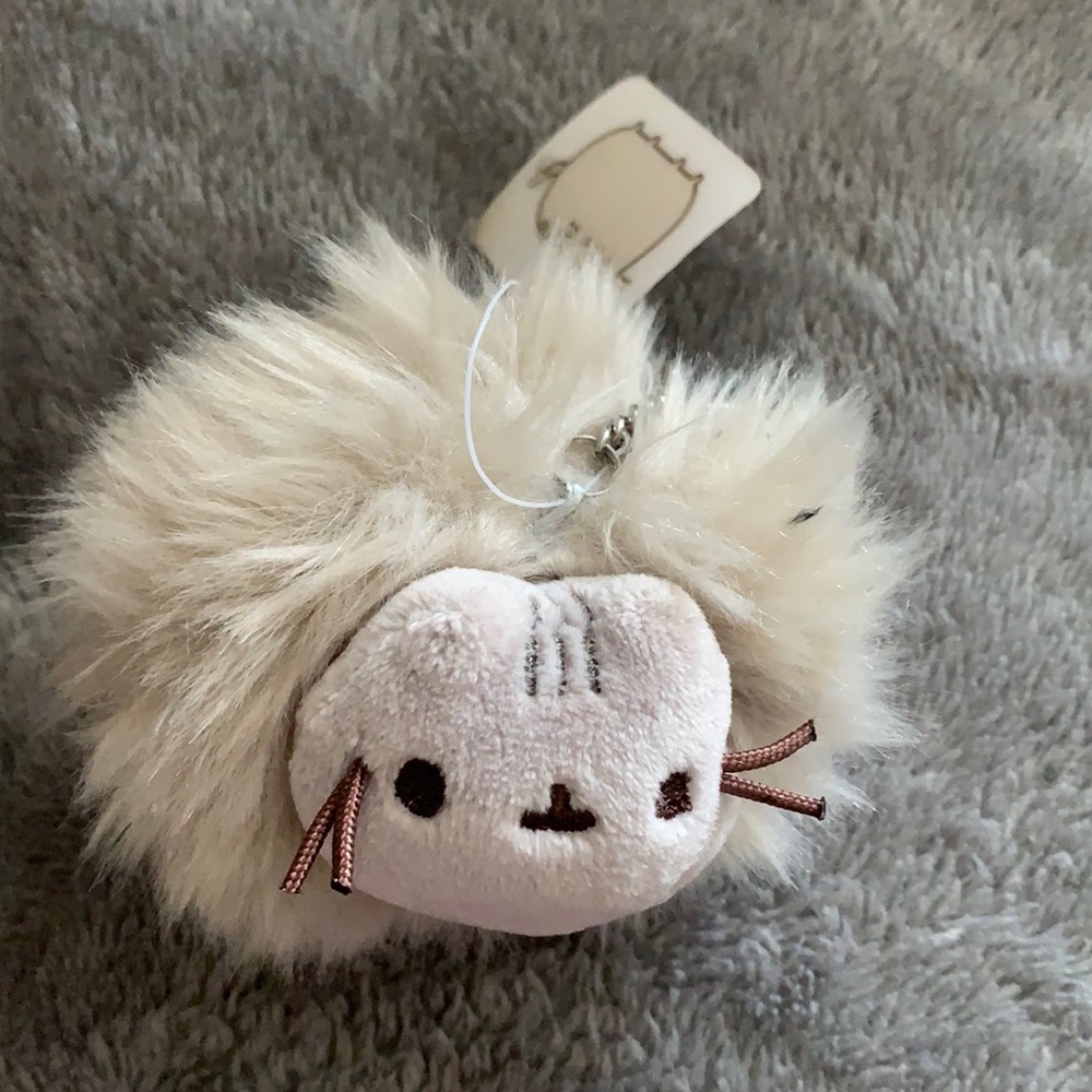 pusheen keychain